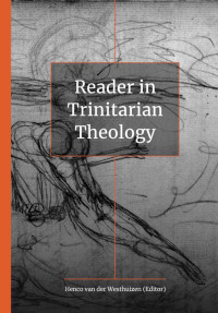 Image of Reader In Trinitarian Theology