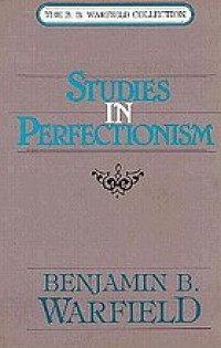 Image of Studies In Perfectionism (Trawas)
